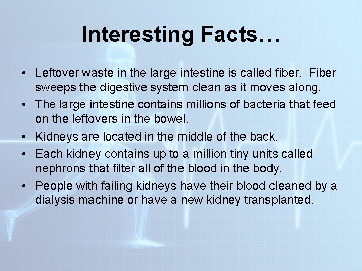 Interesting Facts… • Leftover waste in the large intestine is called fiber. Fiber sweeps Interesting Facts… • Leftover waste in the large intestine is called fiber. Fiber sweeps