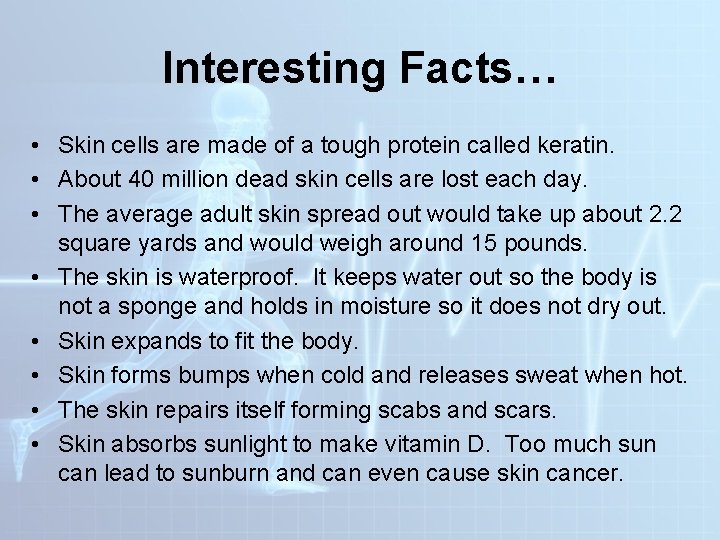 Interesting Facts… • Skin cells are made of a tough protein called keratin. • Interesting Facts… • Skin cells are made of a tough protein called keratin. •