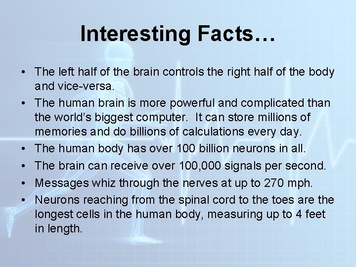 Interesting Facts… • The left half of the brain controls the right half of Interesting Facts… • The left half of the brain controls the right half of