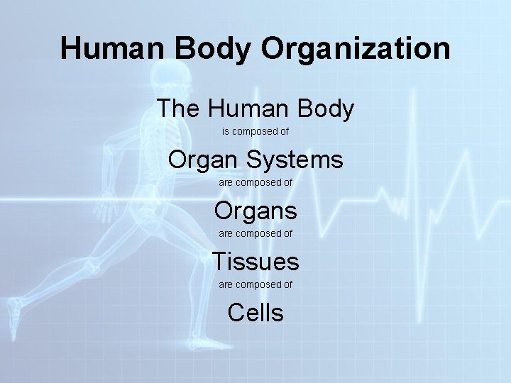 Human Body Organization The Human Body is composed of Organ Systems are composed of Human Body Organization The Human Body is composed of Organ Systems are composed of