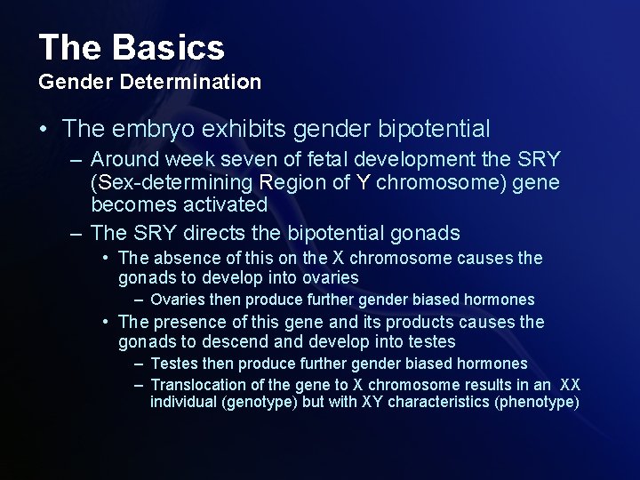 The Basics Gender Determination • The embryo exhibits gender bipotential – Around week seven