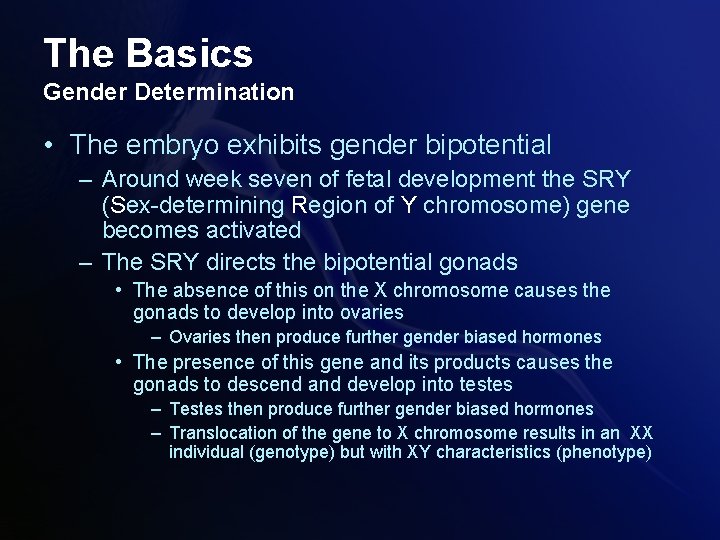 The Basics Gender Determination • The embryo exhibits gender bipotential – Around week seven The Basics Gender Determination • The embryo exhibits gender bipotential – Around week seven
