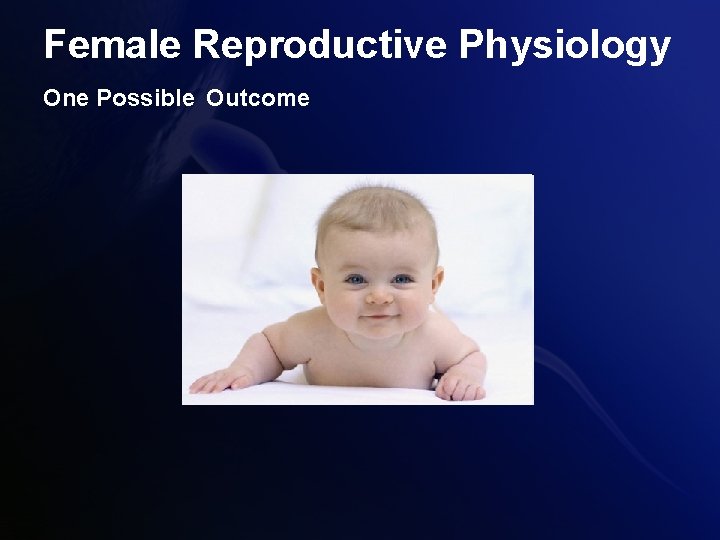 Female Reproductive Physiology One Possible Outcome 