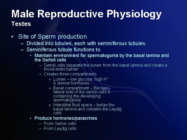 Male Reproductive Physiology Testes • Site of Sperm production – Divided into lobules, each