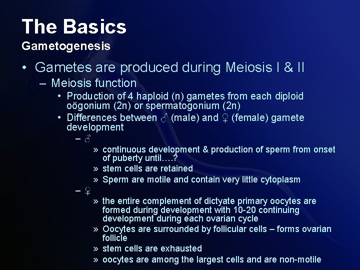 The Basics Gametogenesis • Gametes are produced during Meiosis I & II – Meiosis