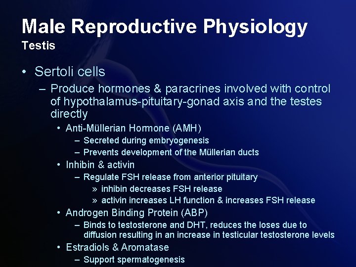 Male Reproductive Physiology Testis • Sertoli cells – Produce hormones & paracrines involved with