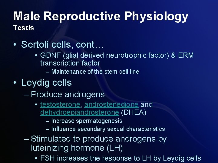 Male Reproductive Physiology Testis • Sertoli cells, cont… • GDNF (glial derived neurotrophic factor) Male Reproductive Physiology Testis • Sertoli cells, cont… • GDNF (glial derived neurotrophic factor)