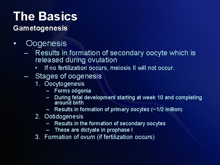 The Basics Gametogenesis • Oogenesis – Results in formation of secondary oocyte which is