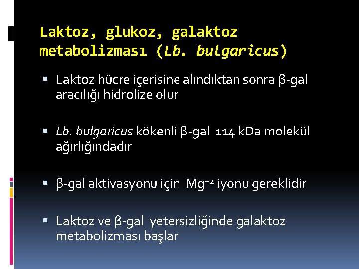 Laktoz, glukoz, galaktoz metabolizması (Lb. bulgaricus) Laktoz hücre içerisine alındıktan sonra β-gal aracılığı hidrolize