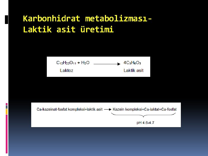 Karbonhidrat metabolizmasıLaktik asit üretimi 