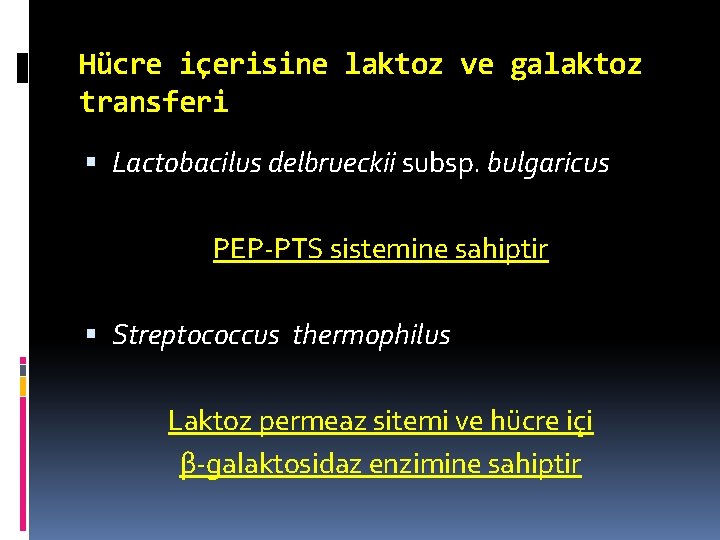 Hücre içerisine laktoz ve galaktoz transferi Lactobacilus delbrueckii subsp. bulgaricus PEP-PTS sistemine sahiptir Streptococcus