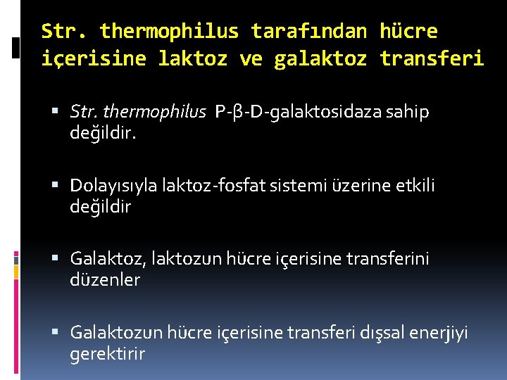 Str. thermophilus tarafından hücre içerisine laktoz ve galaktoz transferi Str. thermophilus P-β-D-galaktosidaza sahip değildir.