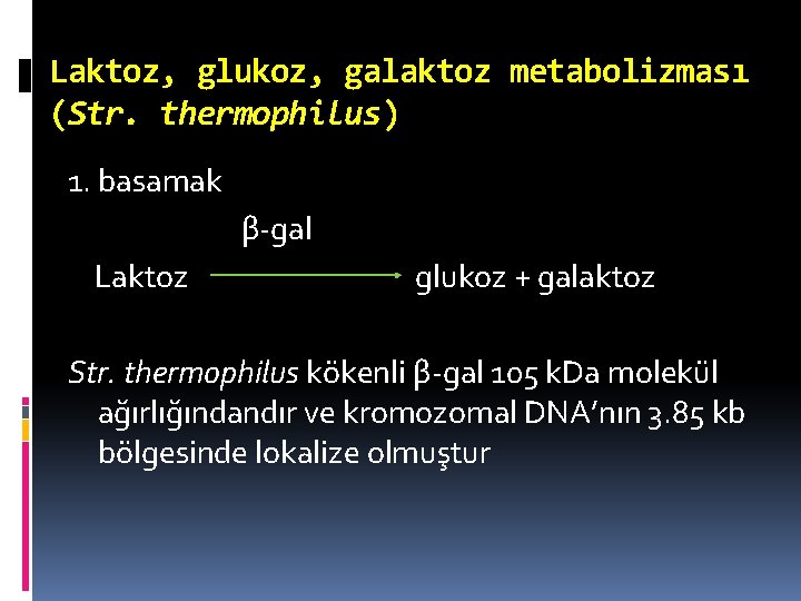 Laktoz, glukoz, galaktoz metabolizması (Str. thermophilus) 1. basamak β-gal Laktoz glukoz + galaktoz Str.