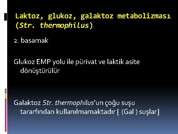 Laktoz, glukoz, galaktoz metabolizması (Str. thermophilus) 2. basamak Glukoz EMP yolu ile pürivat ve