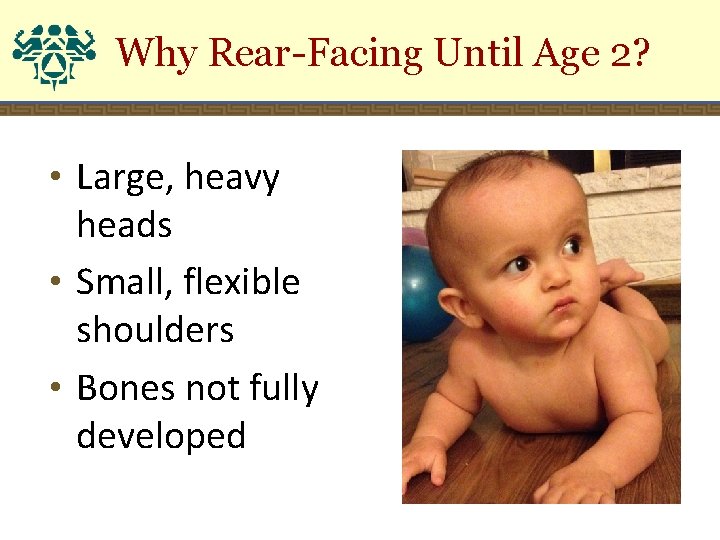 Why Rear-Facing Until Age 2? • Large, heavy heads • Small, flexible shoulders •