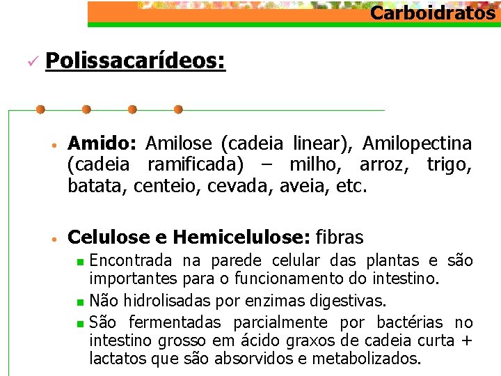 Carboidratos ü Polissacarídeos: • Amido: Amilose (cadeia linear), Amilopectina (cadeia ramificada) – milho, arroz,