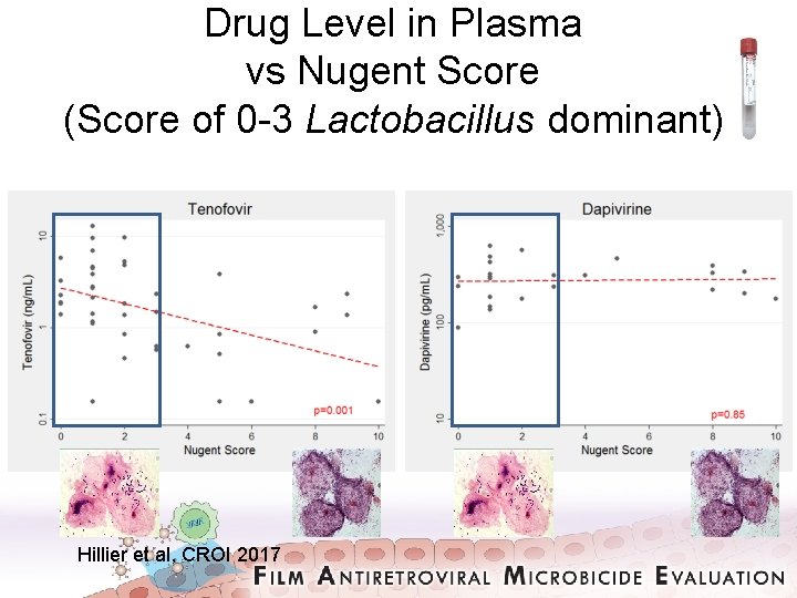 Drug Level in Plasma vs Nugent Score (Score of 0 -3 Lactobacillus dominant) Hillier