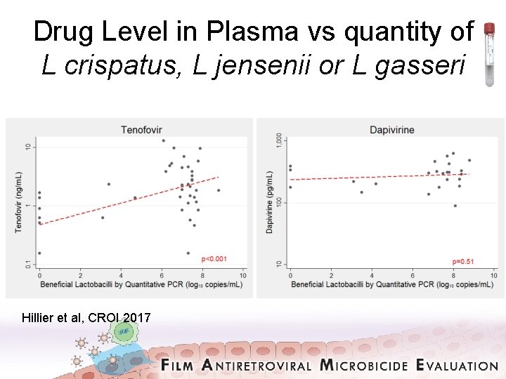 Drug Level in Plasma vs quantity of L crispatus, L jensenii or L gasseri