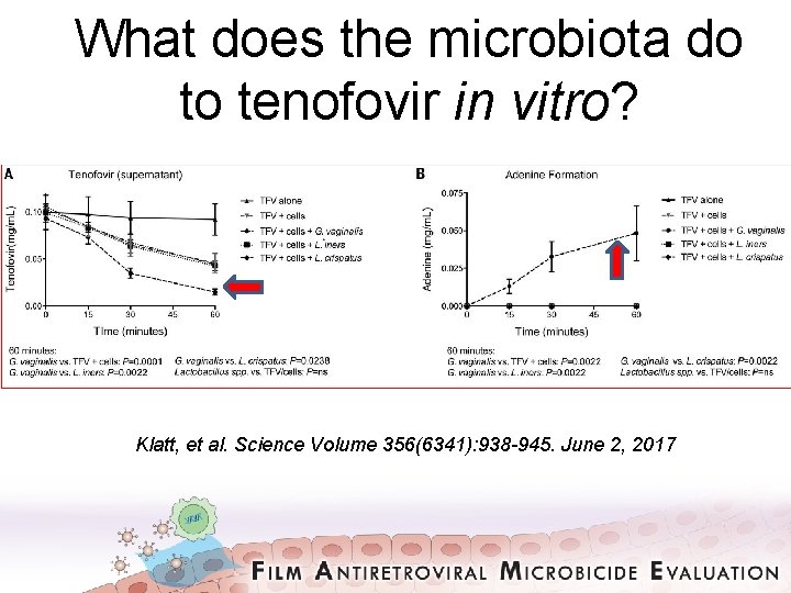 What does the microbiota do to tenofovir in vitro? Klatt, et al. Science Volume