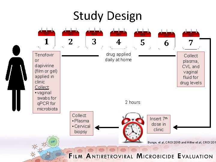 Study Design drug applied daily at home Tenofovir or dapivirine (film or gel) applied