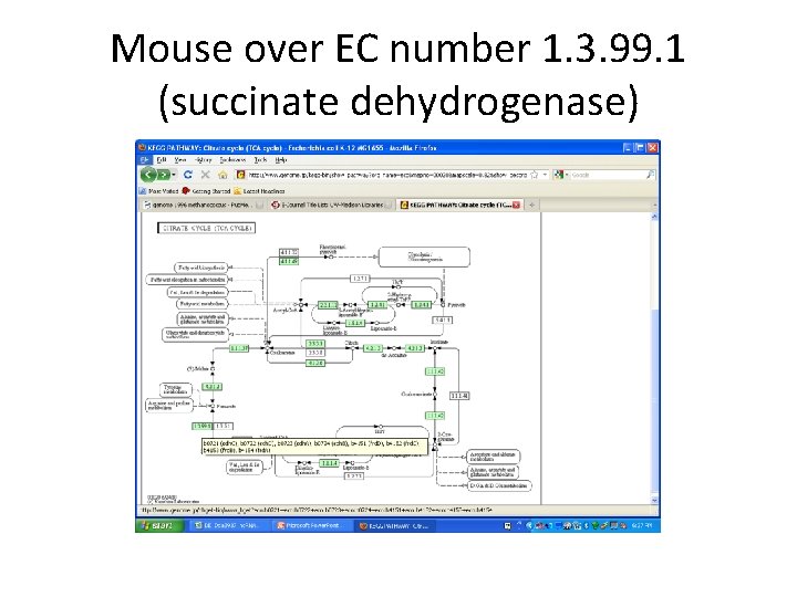 Mouse over EC number 1. 3. 99. 1 (succinate dehydrogenase) 