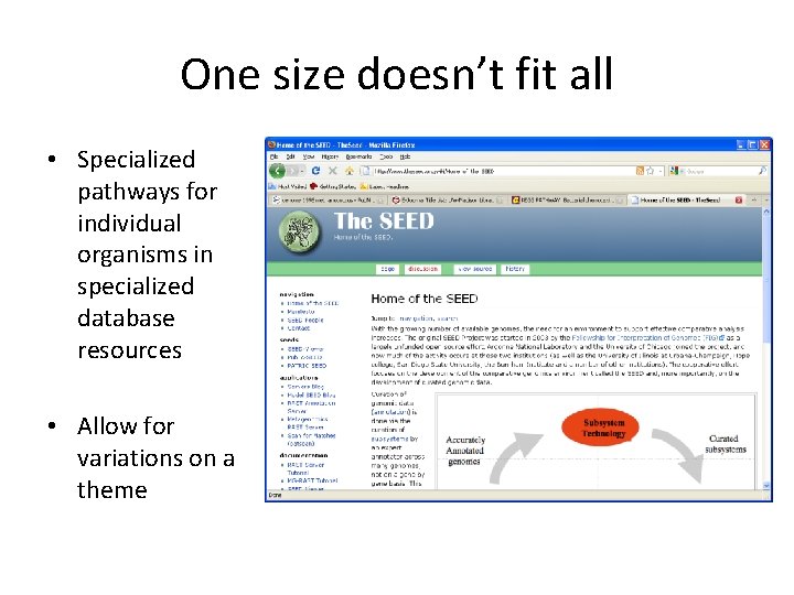 One size doesn’t fit all • Specialized pathways for individual organisms in specialized database
