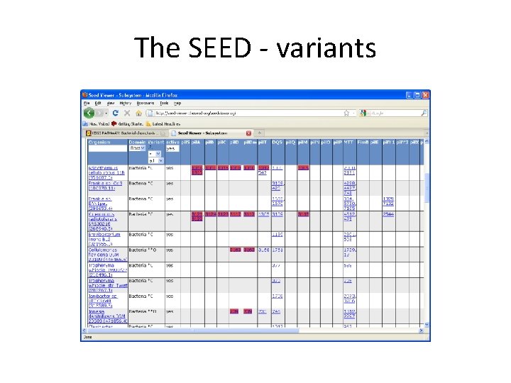 The SEED - variants 