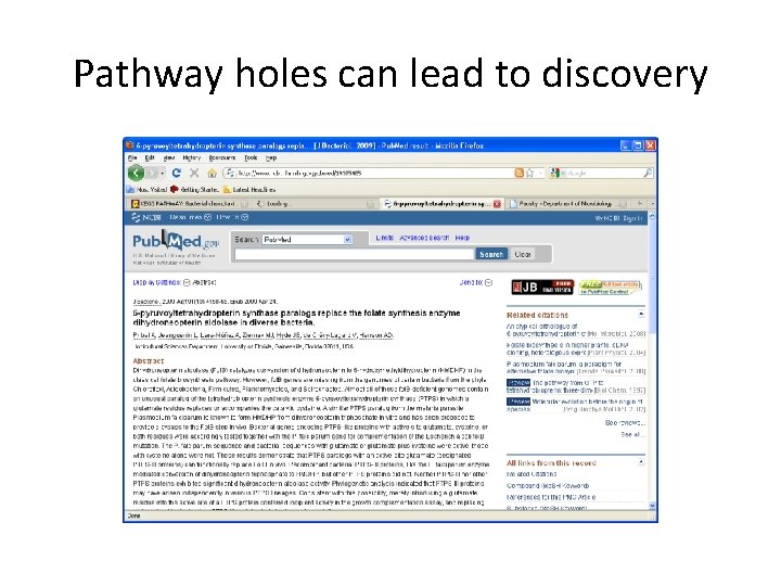 Pathway holes can lead to discovery 