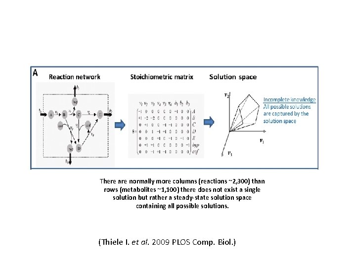 There are normally more columns (reactions ~2, 300) than rows (metabolites ~1, 100) there