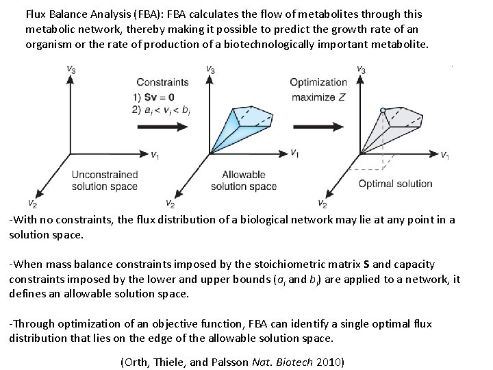 Flux Balance Analysis (FBA): FBA calculates the flow of metabolites through this metabolic network,
