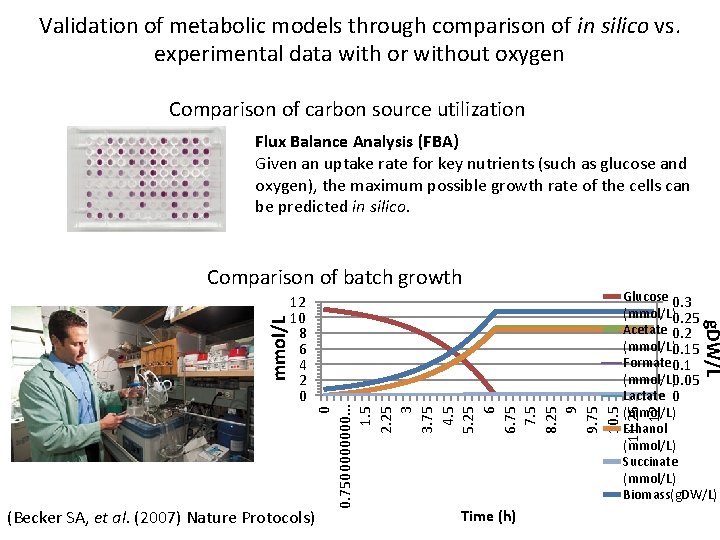 Validation of metabolic models through comparison of in silico vs. experimental data with or