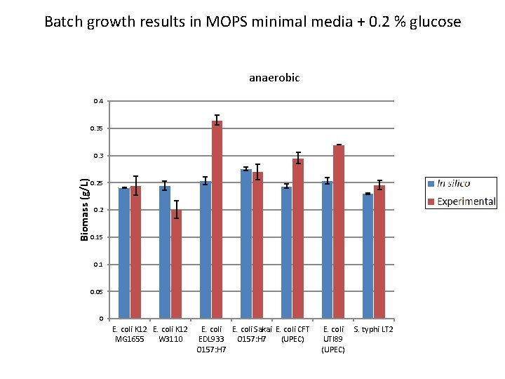 Batch growth results in MOPS minimal media + 0. 2 % glucose anaerobic 0.