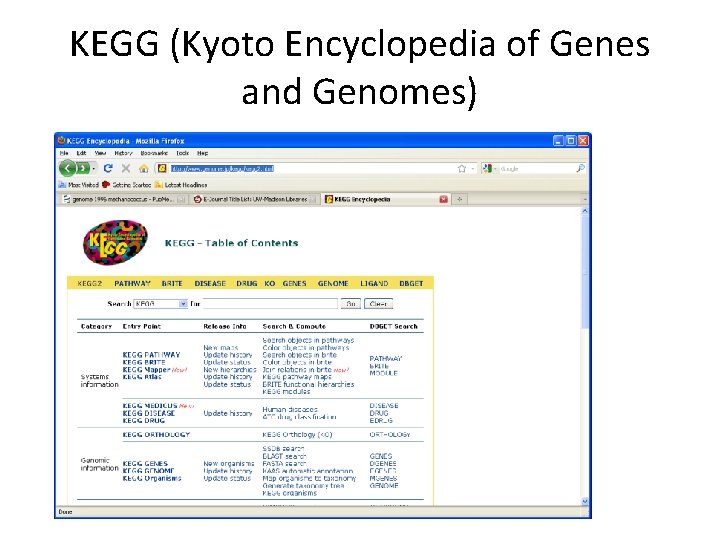 KEGG (Kyoto Encyclopedia of Genes and Genomes) 