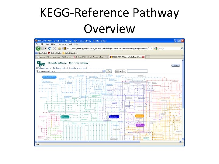 KEGG-Reference Pathway Overview 