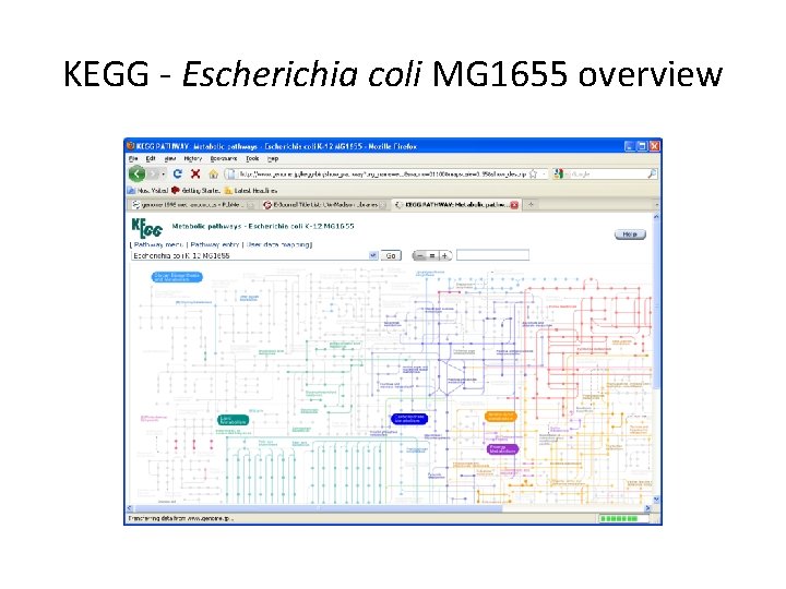 KEGG - Escherichia coli MG 1655 overview 