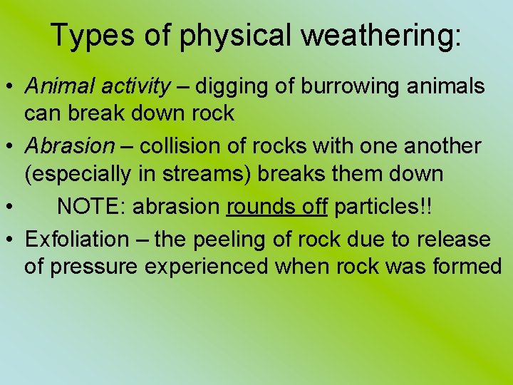 Types of physical weathering: • Animal activity – digging of burrowing animals can break