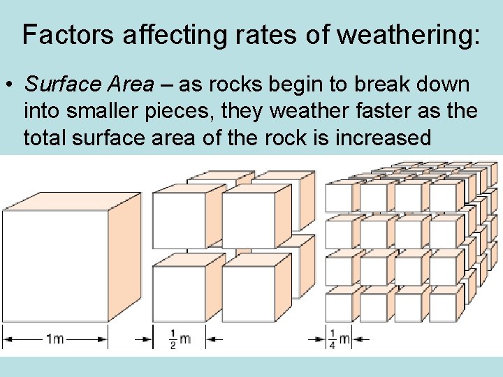 Factors affecting rates of weathering: • Surface Area – as rocks begin to break