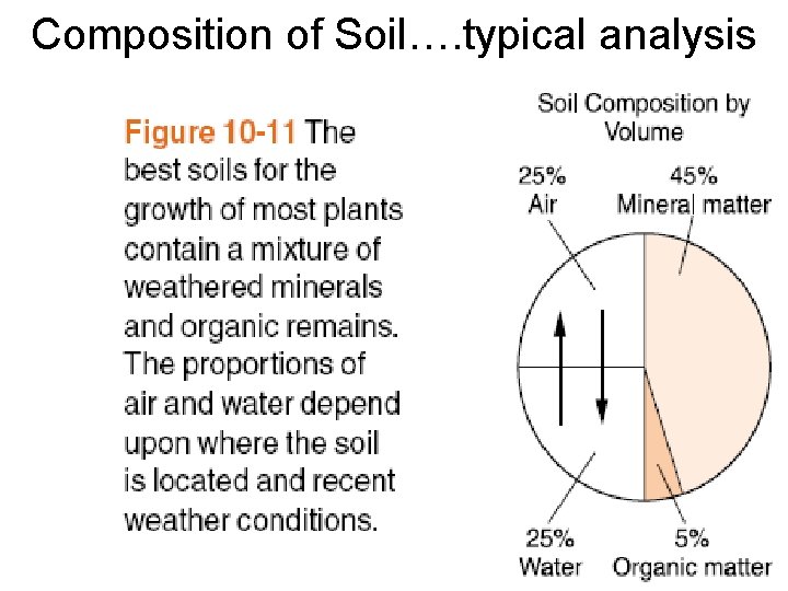 Composition of Soil…. typical analysis 