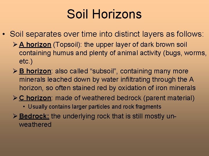 Soil Horizons • Soil separates over time into distinct layers as follows: Ø A