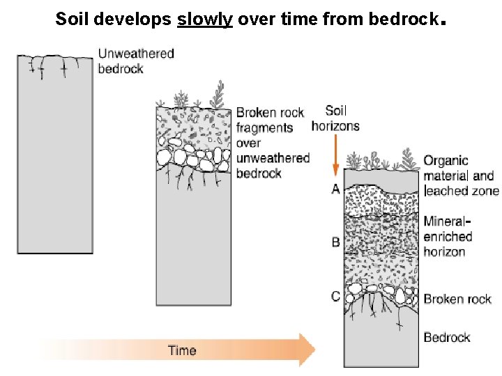 Soil develops slowly over time from bedrock. 