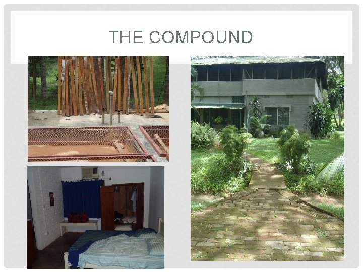 THE COMPOUND 