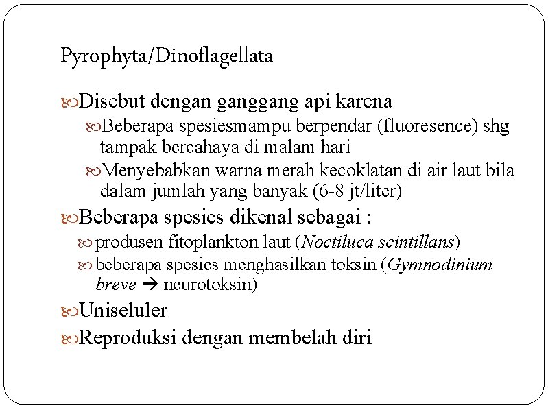 Pyrophyta/Dinoflagellata Disebut dengan gang api karena Beberapa spesiesmampu berpendar (fluoresence) shg tampak bercahaya di