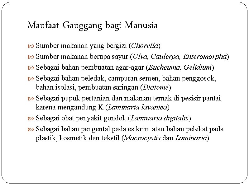 Manfaat Ganggang bagi Manusia Sumber makanan yang bergizi (Chorella) Sumber makanan berupa sayur (Ulva,