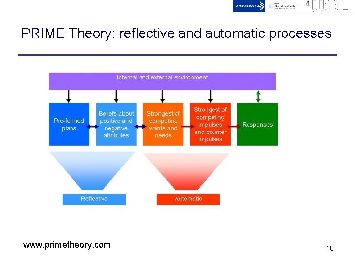 PRIME Theory: reflective and automatic processes www. primetheory. com 18 