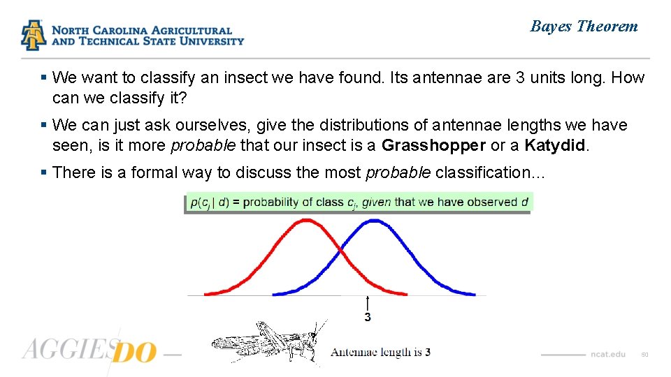 Bayes Theorem § We want to classify an insect we have found. Its antennae