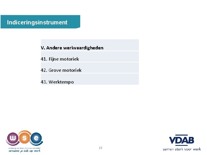 Indiceringsinstrument V. Andere werkvaardigheden 41. Fijne motoriek 42. Grove motoriek 43. Werktempo 19 19