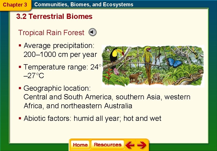 Chapter 3 Communities, Biomes, and Ecosystems 3. 2 Terrestrial Biomes Tropical Rain Forest §