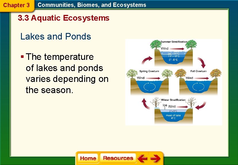 Chapter 3 Communities, Biomes, and Ecosystems 3. 3 Aquatic Ecosystems Lakes and Ponds §
