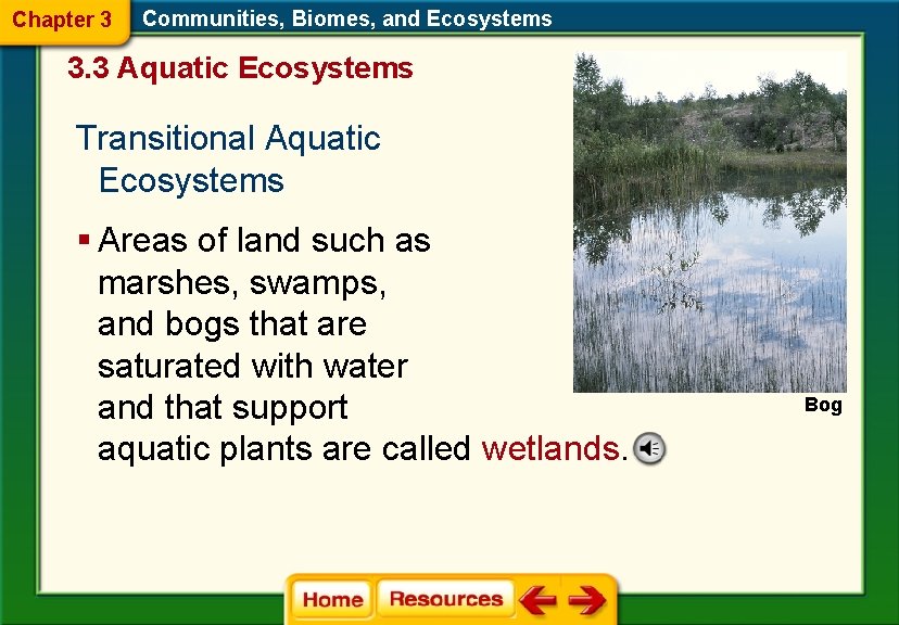 Chapter 3 Communities, Biomes, and Ecosystems 3. 3 Aquatic Ecosystems Transitional Aquatic Ecosystems §