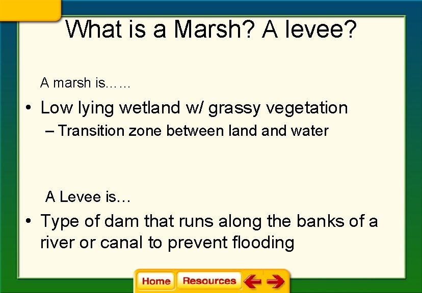 What is a Marsh? A levee? A marsh is…… • Low lying wetland w/